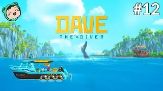 THE SEARCH FOR STUFF | Let's Play: Dave the Diver #12