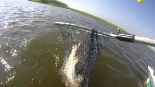 Chef Pass Reds