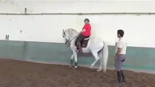 The Lusitano Riding Centre: the New Farm