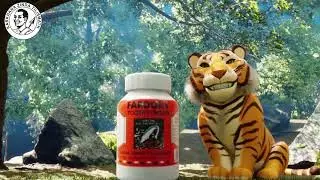 Farooky Tooth Powder: Natural Protection for Your Family&rsquo;s Smile | Gentle & Effective Care