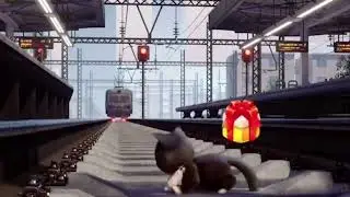 have a PURRFECT time whit cute kitties [kitten match]