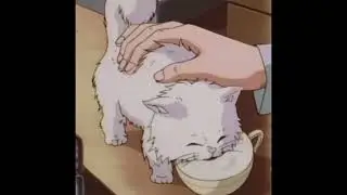 Juice WRLD - Feline ft. Polo G & Trippie Redd (slowed + reverb)