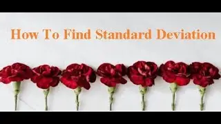 How to Calculate the Standard Deviation