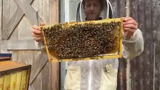Inspecting the Flow Hive just before spring