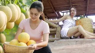 🐍 Shocking! Hunting Giant Snakes in the Farm & Harvesting Sweet Golden Melons to Sell at Market!