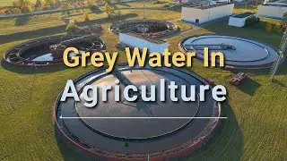 Greywater: A Sustainable Solution for Water-Efficient Agriculture