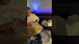Room of Calm 🛸🎵 // Комната Спокойствия 🐈&zwj;⬛✨