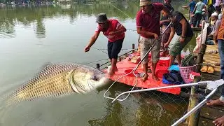Best Fishing Video 