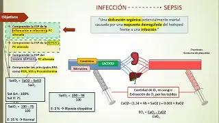 2) Fisiopatología de la Infección e Inflamación