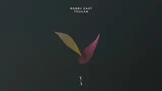 Robby East - Toucan
