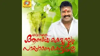 Vayyini Porukkuvaan