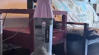 Dyson dc07 Pink + Some life update