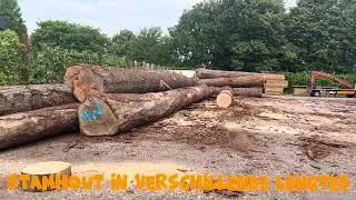 👀 binnenkijken bij Hout op Maat in Ruurlo?Check dit filmpje en zie hoe wij jouw hout op maat maken