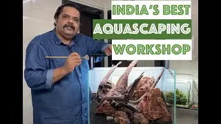 Fish Tank setup | Aquarium Maintenance | Aquascaping Workshop in Bangalore | Mayur Dev Aquascaper