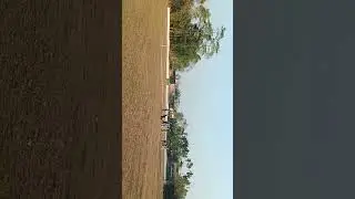 Da crew - dance arena is live