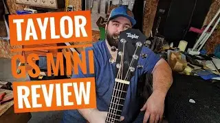 Taylor GS Mini review