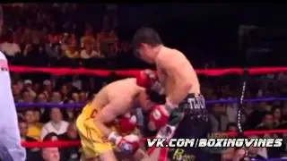 Boxing Vines