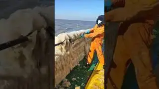 Interesting Ice #asmr #snow #funny #odlysatisfying #ice #satisfying #fyp