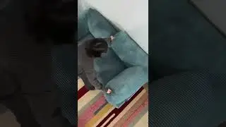 This compression sofa is amazing!
