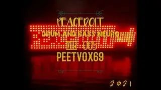 #peetvox69_peacedoit_dnb_mix_neuro 005 #creative_gallery_pdi