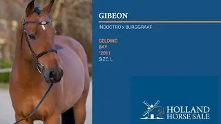 **Gibeon** Indoctro x Burggraaf