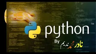 Python Conditional Statements: A Beginner's Guide to Writing Effective Code/ IN URDU