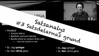 Satsanalys del 3 Satsdelarnas grund
