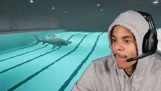 Sharks and Minnows