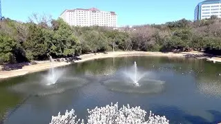 Texas Arboretum Duck Pond_56🎼 - 01-04-2026