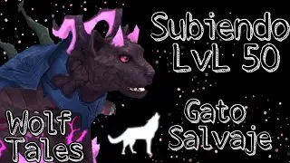 Повышение уровня до 50 Wild Cat Wolf Tales