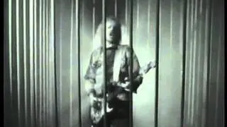 James Young - Wild Dogs In The Night - solo
