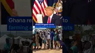 Refugees in Ghana turn to farming after US aid cuts