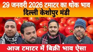 29 Jan 2026 Delhi 🍅 टमाटर होलसेल भाव | Keshopur Mandi | Today Tomato Rate #tamatar #tamatarmandi