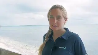 Coral Restoration in the Cayman Islands: Central Caribbean Marine Institute