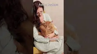 Feline Fortune Cookies: Feline Healers #shorts #cat #subscribe