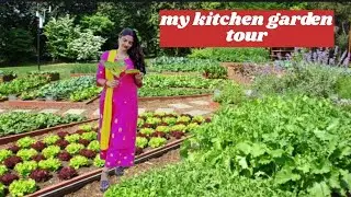 🌿⚡ बच्चों का Green Energy मॉडल + मेरा Kitchen Garden | एक Biji Housewife का पूरा दिन 🌞🌱