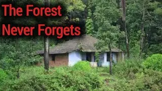 Cabin Without a Name | True Subtle Horror in Hong Kong&rsquo;s Forests