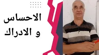 كيفية توظيف النظريات الأربعة في مشكلة #الاحساس_و_الادراك