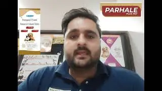 Parhale deworming tablet for dogs 
