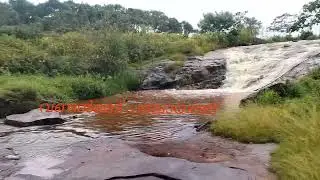 2025, ഒക്&zwnj;ടോബർ 11അണക്കര, ചെല്ലാർകോവിൽ, കുരീക്കാട്ടുപാറ: കാർഷിക ടൂറിസം പദ്ധതി