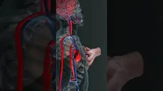 life saving procedure(CPR) #cpr #lifesaving #nursingeducation #nursinglecture