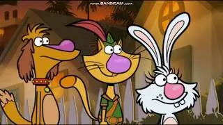 Nature Cat Lights Out For Sea Turtles Part 1