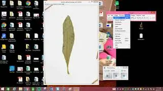 ImageJ tutorial