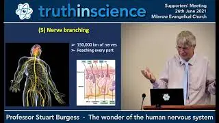 The wonder of the human nervous system by Professor Stuart Burgess