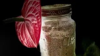 Healthy Gunpowder for Idly/Dosa/Rice😋 with flaxseeds and pumpkin seeds 