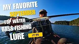 Моя любимая сентябрьская приманка для ловли окуня (озеро Аллатуна) #bassfishing #lakkeallatoona