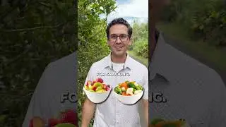 Timing Your Meals Could Be More Important Than What You Eat ⏰🥗