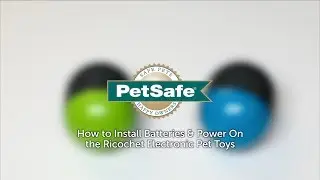 How to Set up the PetSafe&reg; Ricochet Electronic Pet Toys