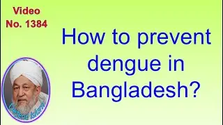 How to prevent dengue in Bangladesh?