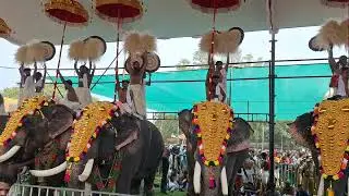 2024 Thrissur Pooram Elanji 06